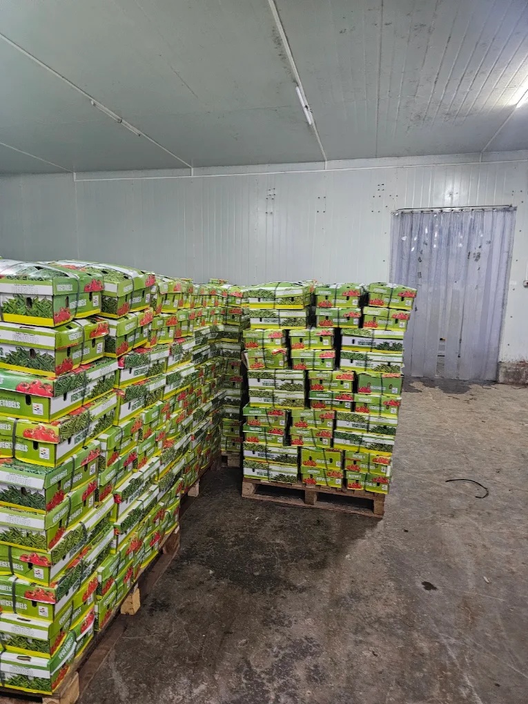 Produce cartons staged inside cold storage