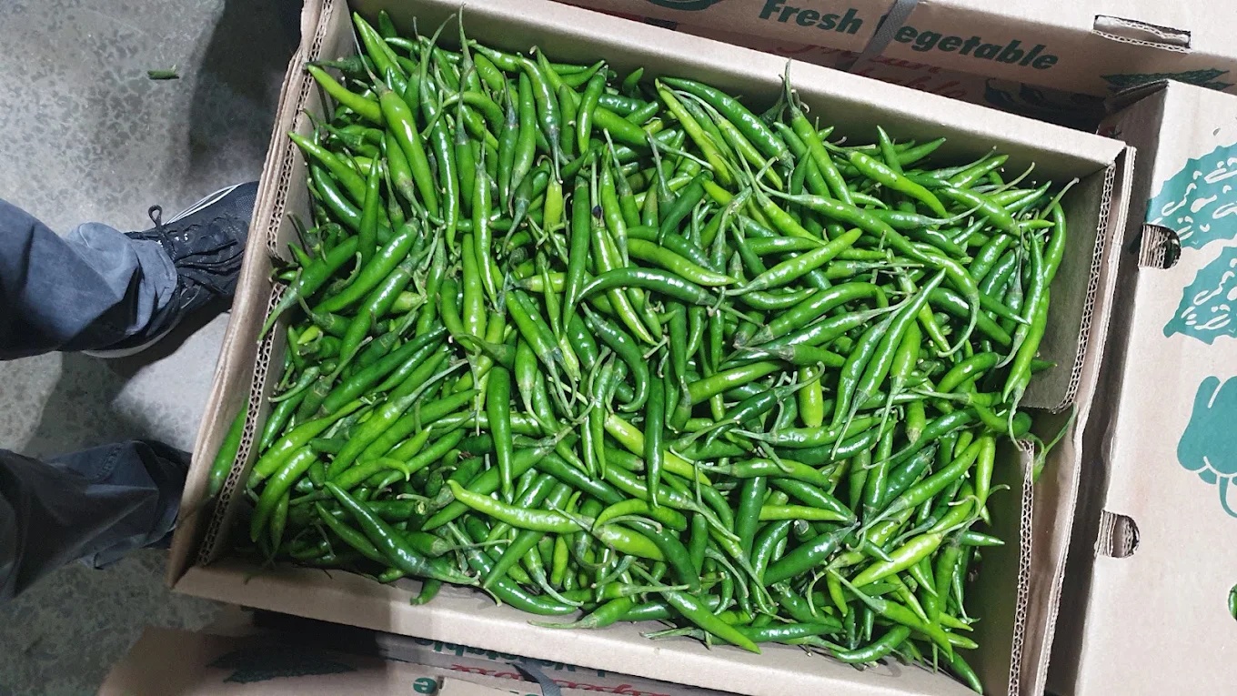 A box filled with fresh green chillies