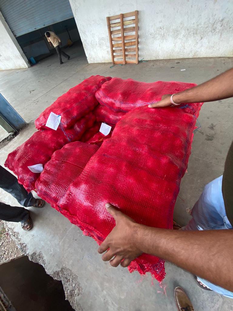 Red onions packed in mesh bags